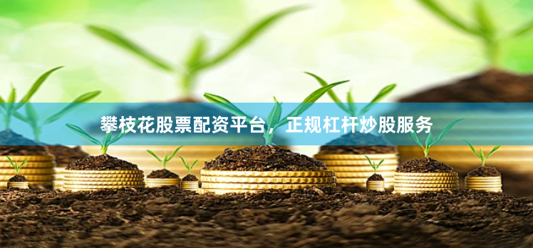 攀枝花股票配资平台，正规杠杆炒股服务